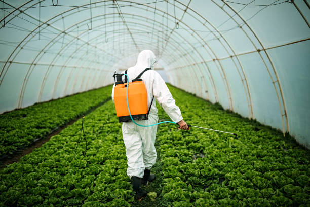 Reliable Mattydale, NY Pest Control Solutions