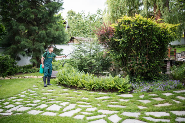 Best Best Pest Control Companies  in Mattydale, NY