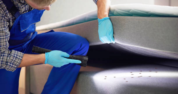 Best Best Pest Control Near Me  in Mattydale, NY
