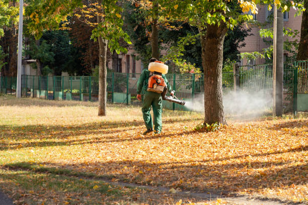 Best Pest Control Near Me in Mattydale, NY