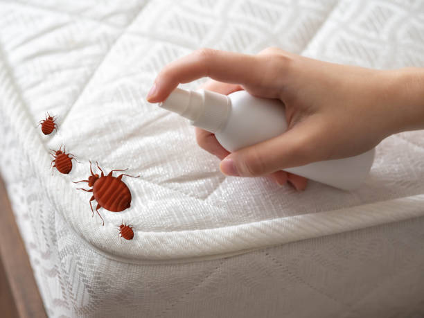 Best Best Pest Control Companies  in Mattydale, NY
